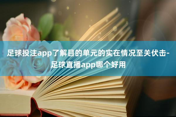 足球投注app了解目的单元的实在情况至关伏击-足球直播app哪个好用