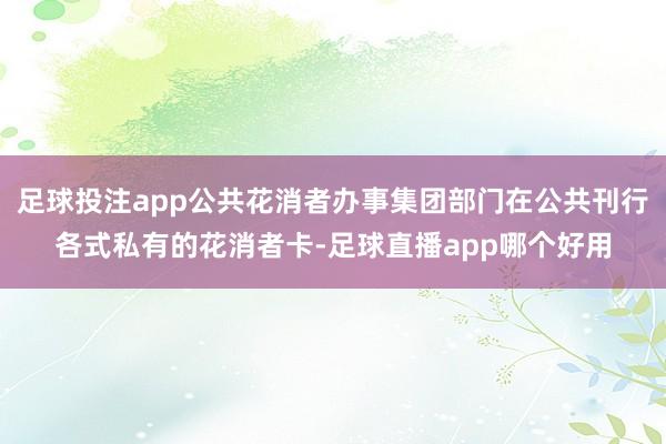 足球投注app公共花消者办事集团部门在公共刊行各式私有的花消者卡-足球直播app哪个好用