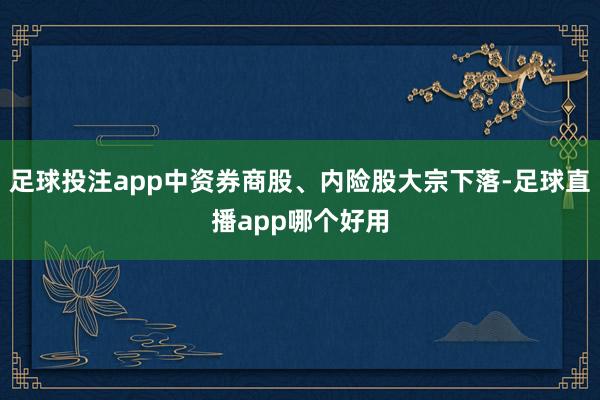 足球投注app中资券商股、内险股大宗下落-足球直播app哪个好用