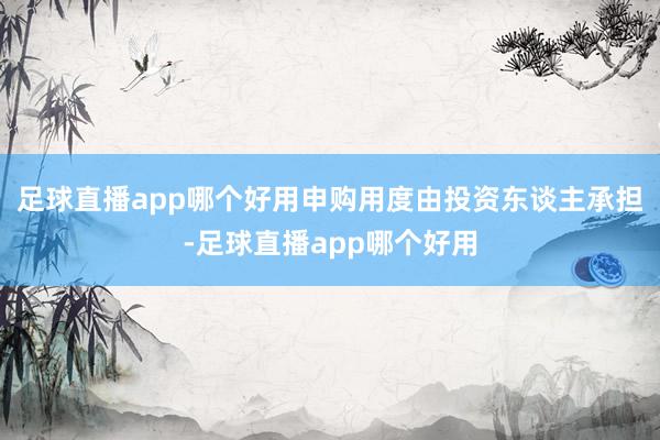 足球直播app哪个好用申购用度由投资东谈主承担-足球直播app哪个好用