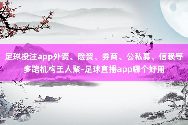 足球投注app外资、险资、券商、公私募、信赖等多路机构王人聚-足球直播app哪个好用