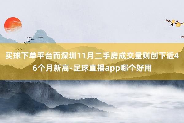 买球下单平台而深圳11月二手房成交量则创下近46个月新高-足球直播app哪个好用