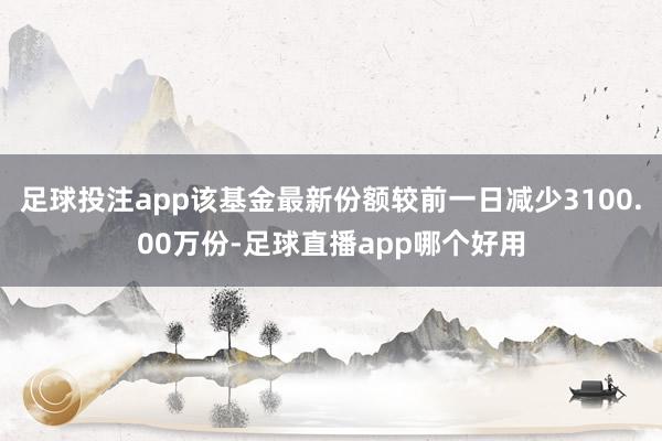 足球投注app该基金最新份额较前一日减少3100.00万份-足球直播app哪个好用