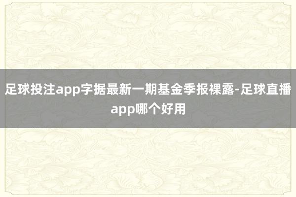 足球投注app字据最新一期基金季报裸露-足球直播app哪个好用