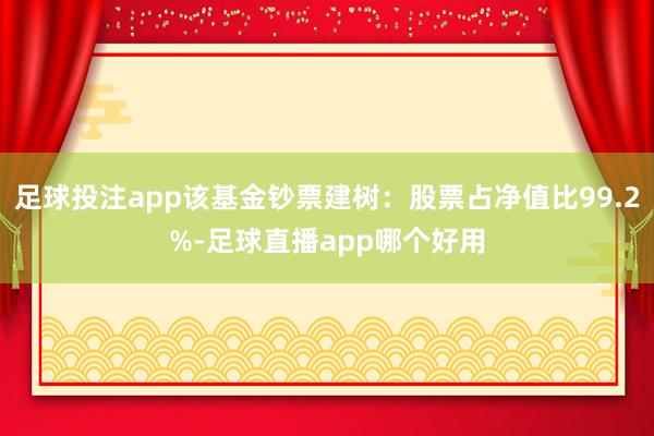 足球投注app该基金钞票建树：股票占净值比99.2%-足球直播app哪个好用