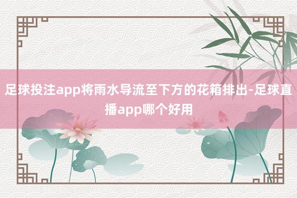 足球投注app将雨水导流至下方的花箱排出-足球直播app哪个好用