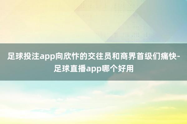 足球投注app向欣忭的交往员和商界首级们痛快-足球直播app哪个好用