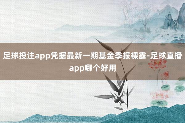 足球投注app凭据最新一期基金季报裸露-足球直播app哪个好用