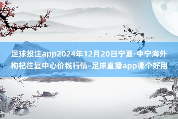 足球投注app2024年12月20日宁夏·中宁海外枸杞往复中心价钱行情-足球直播app哪个好用