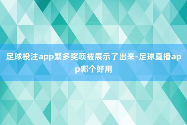 足球投注app繁多奖项被展示了出来-足球直播app哪个好用